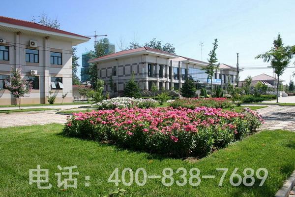 1617692526752248.jpg 1570700702851728.jpg