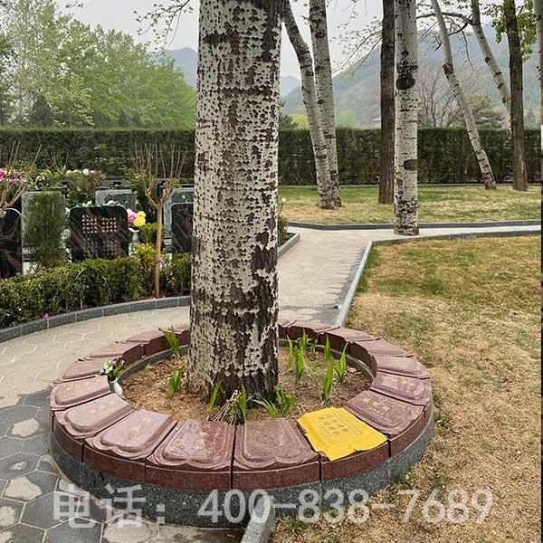 天寿陵园树葬19800 天寿陵园树葬19800